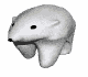 orso polare.gif